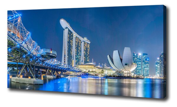 Vászon nyomtatás Singapore éjjel