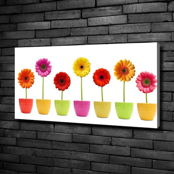 Egyedi vászonkép Színes gerbera