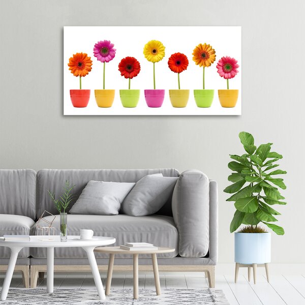 Egyedi vászonkép Színes gerbera