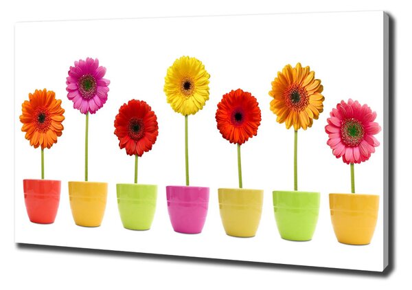 Egyedi vászonkép Színes gerbera
