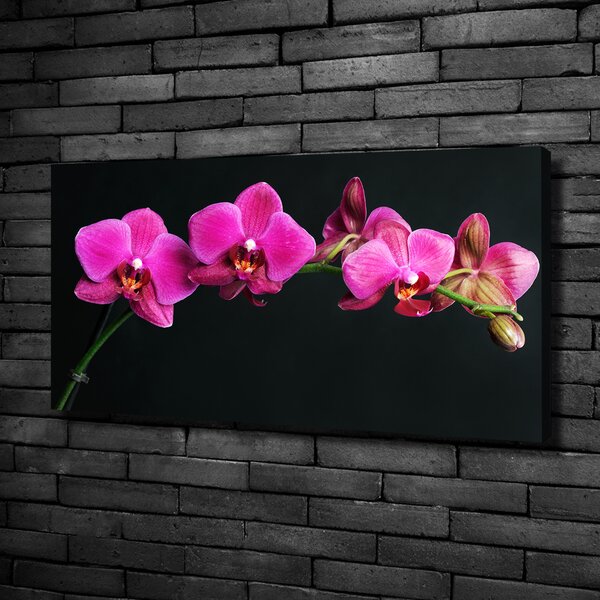 Egyedi vászonkép Orchidea
