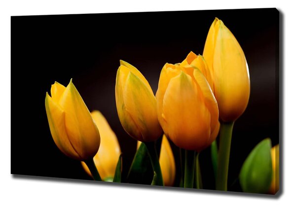 Egyedi vászonkép Sárga tulipánok