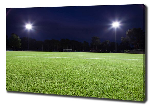 Vászonfotó Futballpálya