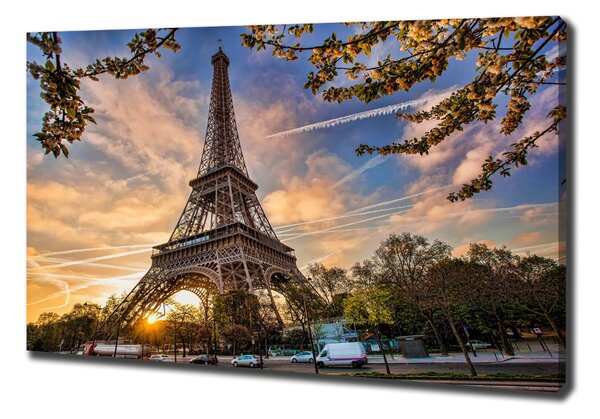 Vászonfotó Párizsi eiffel-torony