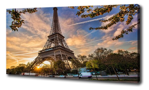 Vászonfotó Párizsi eiffel-torony