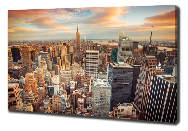 Vászon nyomtatás New york-i járat madár
