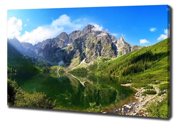 Vászon nyomtatás Marine szem tatry