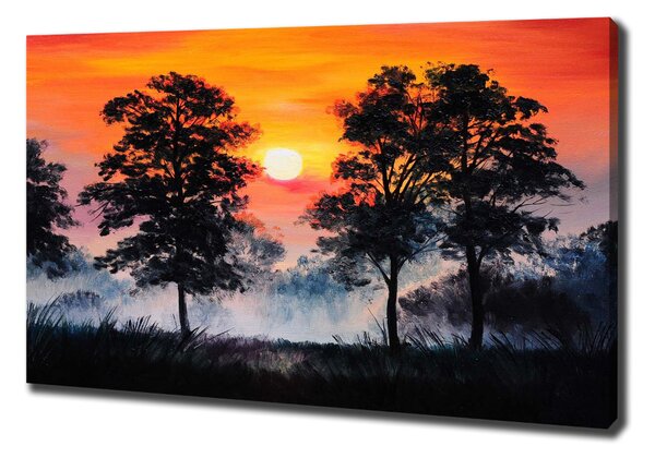 Vászon nyomtatás Sunset erdő