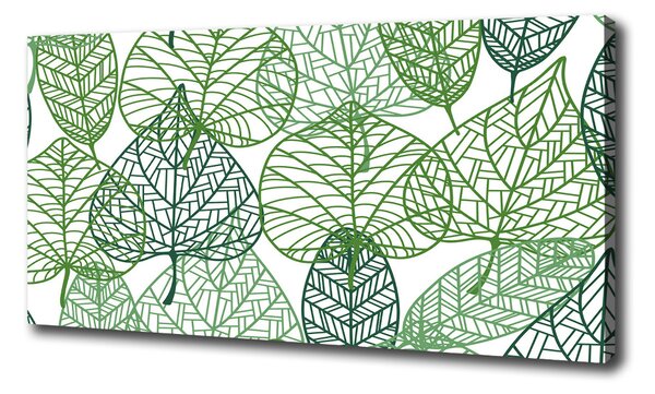 Fali vászonkép Zöld levelek mintázata