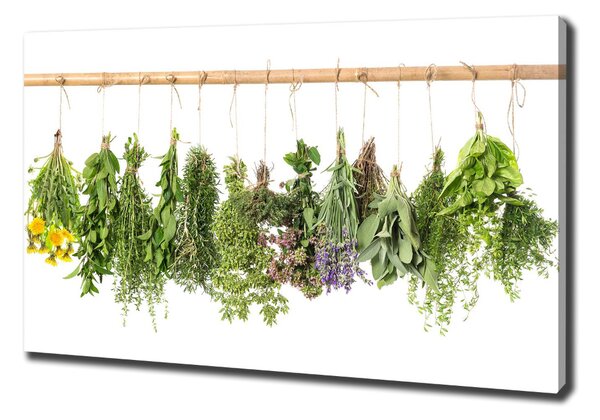 Feszített vászonkép Herbs egy húr