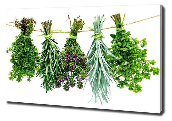 Feszített vászonkép Herbs egy húr