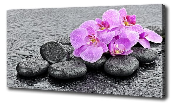 Egyedi vászonkép Orchideák kövek