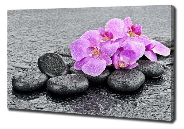 Egyedi vászonkép Orchideák kövek