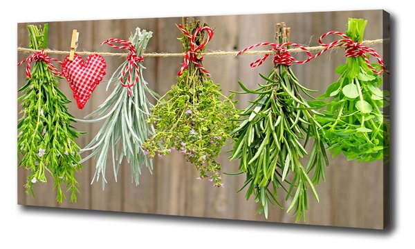 Feszített vászonkép Herbs egy húr