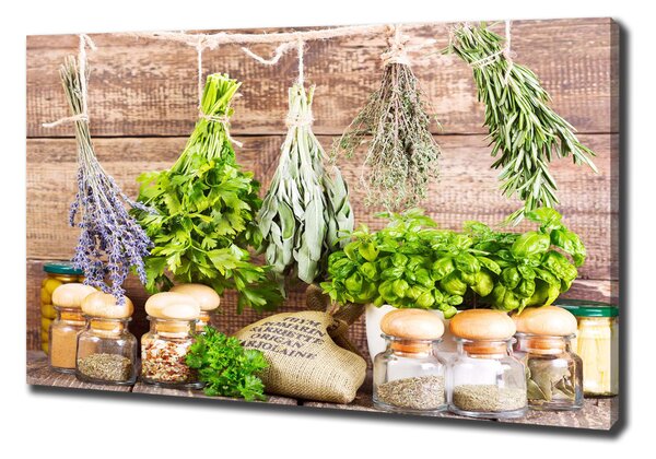 Feszített vászonkép Herbs egy húr