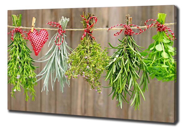 Feszített vászonkép Herbs egy húr
