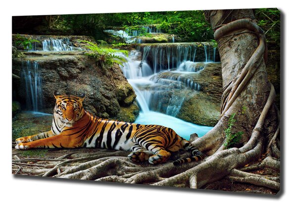 Vászonkép Tigris vízesés