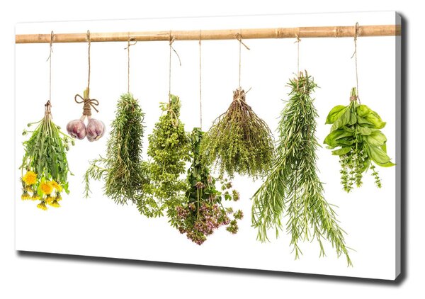 Feszített vászonkép Herbs egy húr