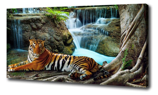Vászonkép Tigris vízesés