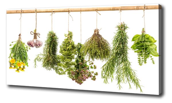 Feszített vászonkép Herbs egy húr
