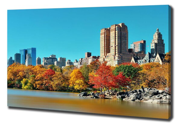 Vászonfotó New york ősszel