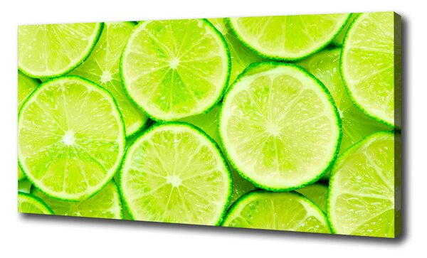 Feszített vászonkép Limes