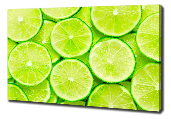 Feszített vászonkép Limes
