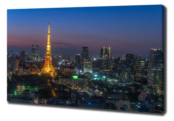 Vászonfotó Tower tokyo