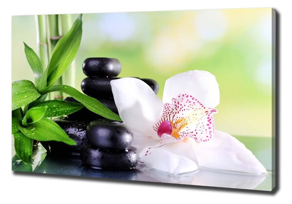 Egyedi vászonkép Orchidea