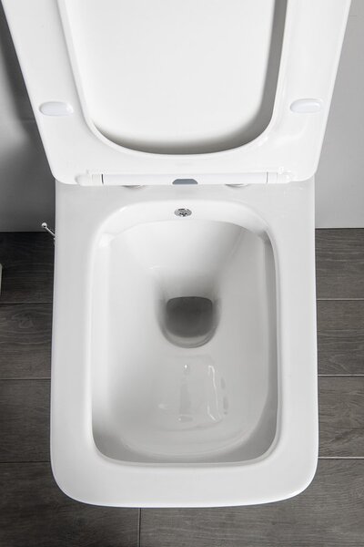 Sapho Sapho, PORTO CLEANWASH függő WC csésze Perem nélküli, integrált csaptelep és bidé spray 36x52cm, fehér, PZ102RX