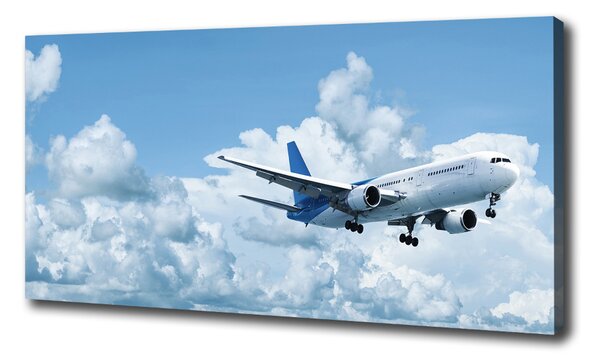 Vászonkép falra Plane az égen