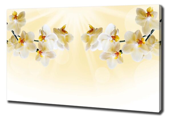 Egyedi vászonkép Orchidea