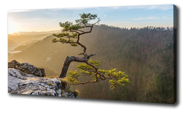Vászon nyomtatás Pieniny sokolica
