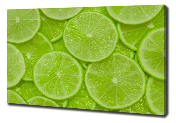 Feszített vászonkép Limes