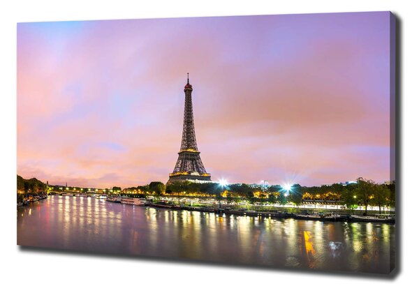 Vászonfotó Párizsi eiffel-torony
