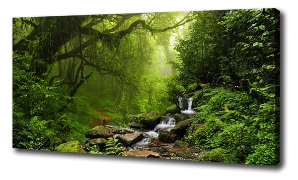 Vászon nyomtatás Jungle nepál