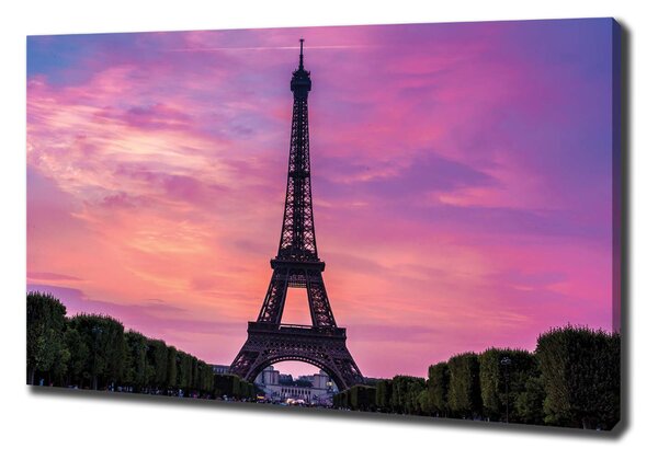 Vászonfotó Párizsi eiffel-torony