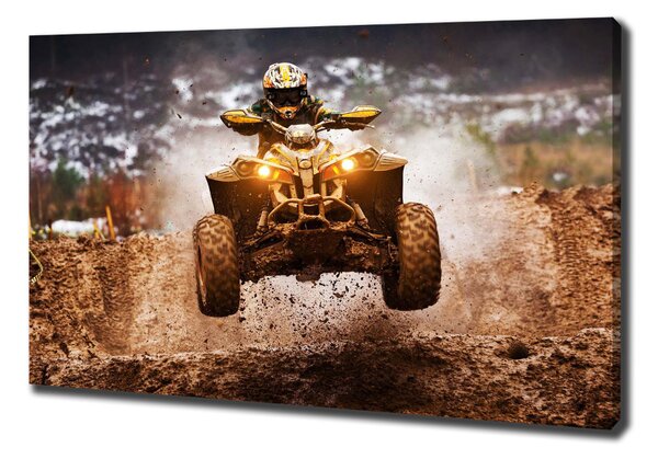 Vászonkép falra Quad