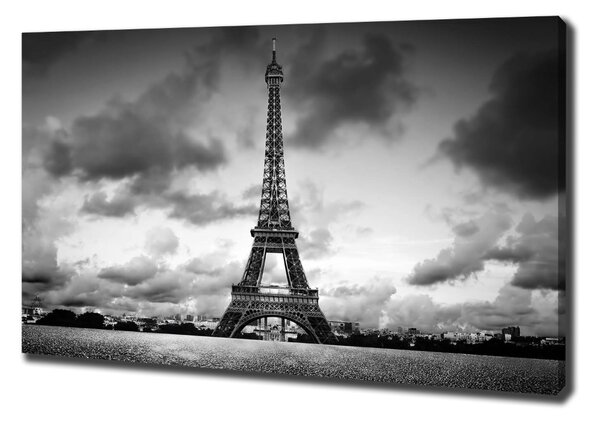 Vászonfotó Párizsi eiffel-torony