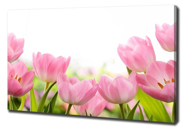 Egyedi vászonkép Rózsaszín tulipánok
