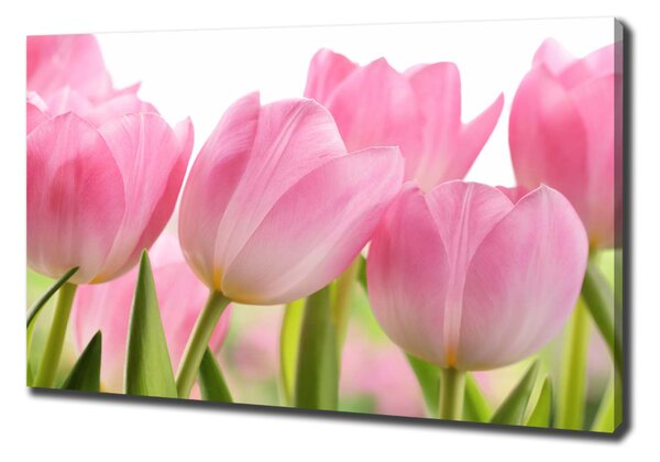 Egyedi vászonkép Rózsaszín tulipánok