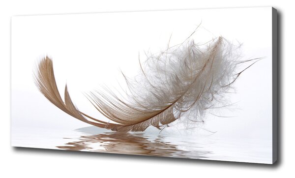 Vászonkép nyomtatás Feather víz