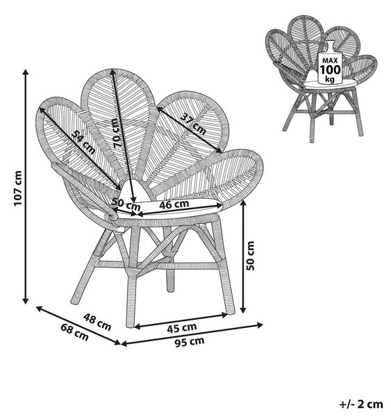 Páva alakú szék FLORENTINE Rattan Természetes
