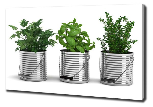 Feszített vászonkép Aromás növények