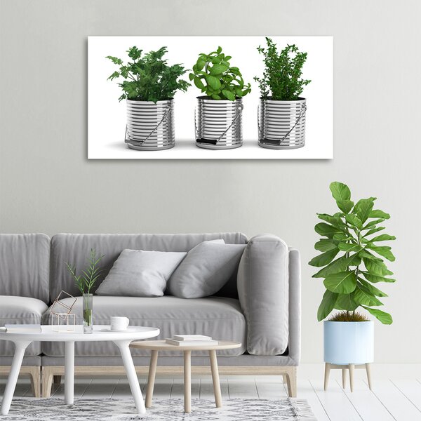 Feszített vászonkép Aromás növények