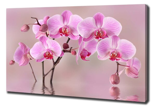 Egyedi vászonkép Rózsaszín orchidea