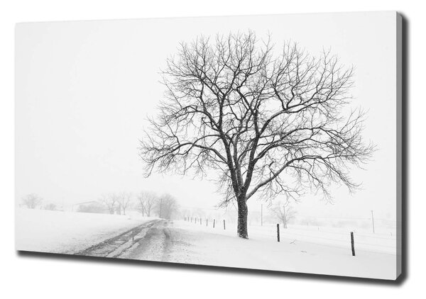 Vászon nyomtatás Fa télen