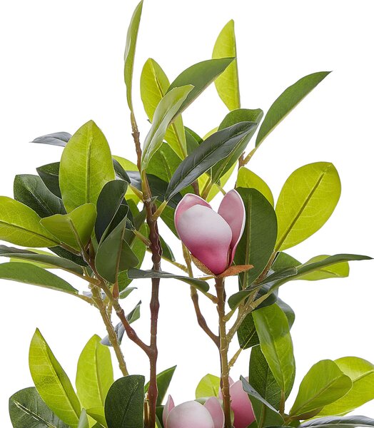 Műnövény MAGNOLIA 70 cm Zöld