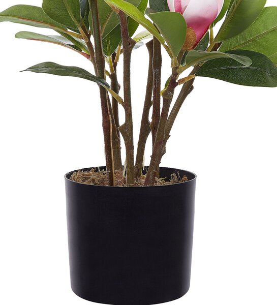 Műnövény MAGNOLIA 70 cm Zöld