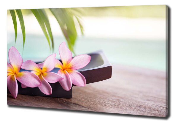 Egyedi vászonkép Plumeria